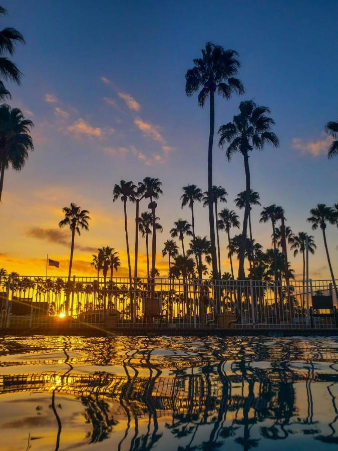 Victoria Palms Inn And Suites Donna Екстериор снимка